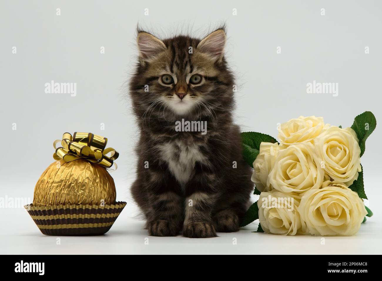 Cute greeting card Stock Photo