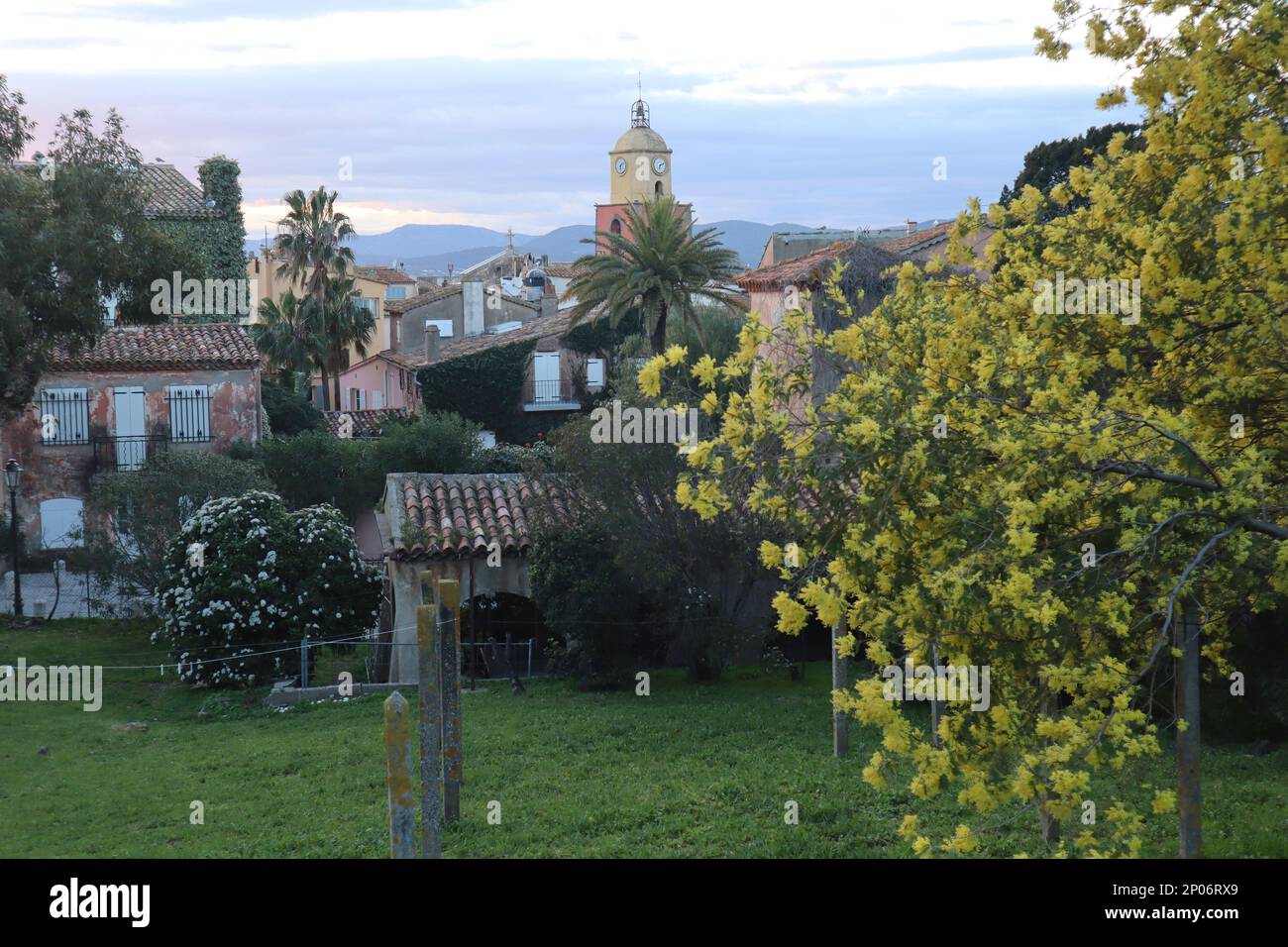 March 02th 2023. Saint-Tropez, France - Weather, summer heat Flowers of spring provence landscape. Sunbathing at La Plage Tropezina, walking in the old fishing village BB and Romy are symbols in the shop windows. Credit Ilona Barna BIPHOTONEWS, Alamy Live News Stock Photo