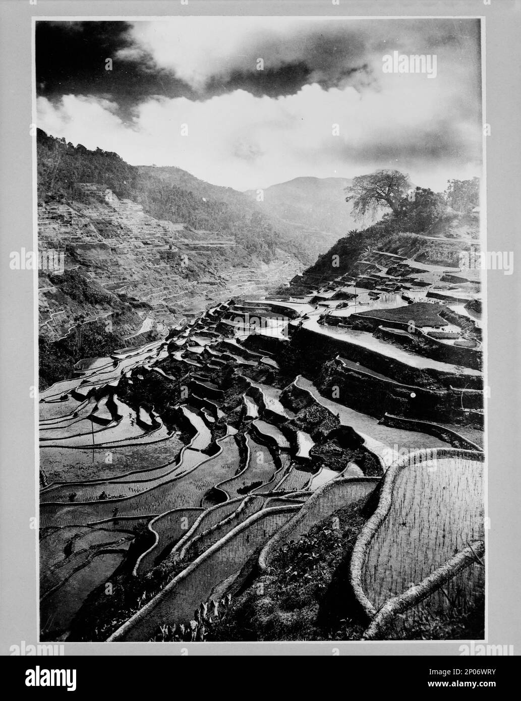 Rice terraces carved out of the hillsides hundreds of years ago by Ifuago farmers, Philippine Islands. Frank and Frances Carpenter Collection , Published in: 'The World and Its Cultures' chapter of the ebook Great Photographs from the Library of Congress, 2013, Terraces (Land use),Philippines,1890-1930, Rice paddies,Philippines,1890-1930. Stock Photo