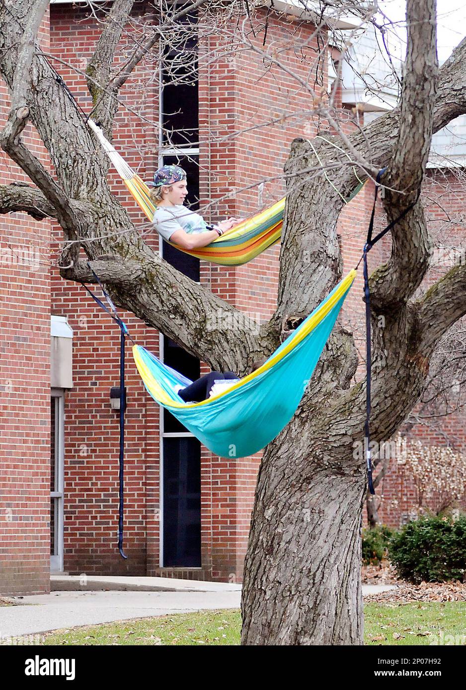 Anderson University freshmen Levi Vick and Vanessa Schuldt relax in their hammocks high in this tree Tuesday afternoon February 21, 2017 in front of Rice Hall on the Anderson, Indiana campus taking advantage of the mild winter weather. (John P. Cleary/The Herald-Bulletin via AP) Stock Photo