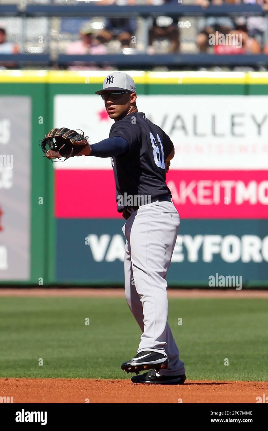ST. PETERSBURG, FL - FEBRUARY 28: New York Yankees Infielder Gleyber Torres  (25) at bat during the MLB Spring Training game between the New York  Yankees and the Tampa Bay Rays on