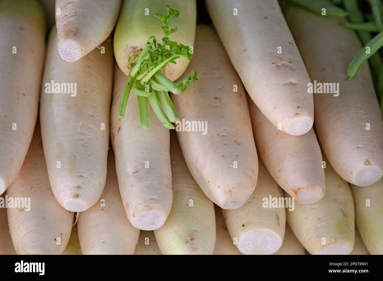 Closeup on a stack of daikon radishes for sale on a market stall Stock Photo Alamy