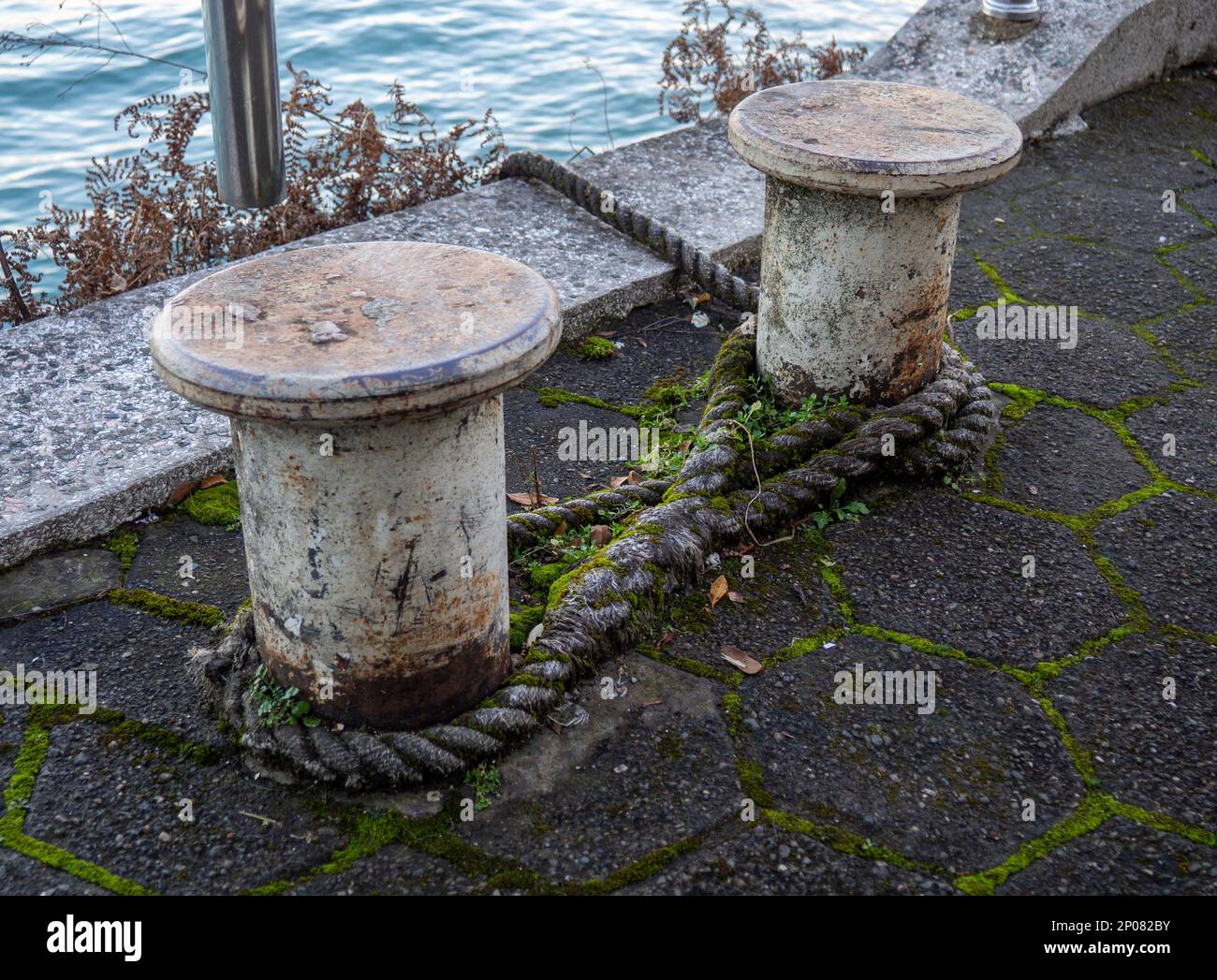 Container Streched Rope rope goes into the water from the bollard. Attaching boats to the pier ...