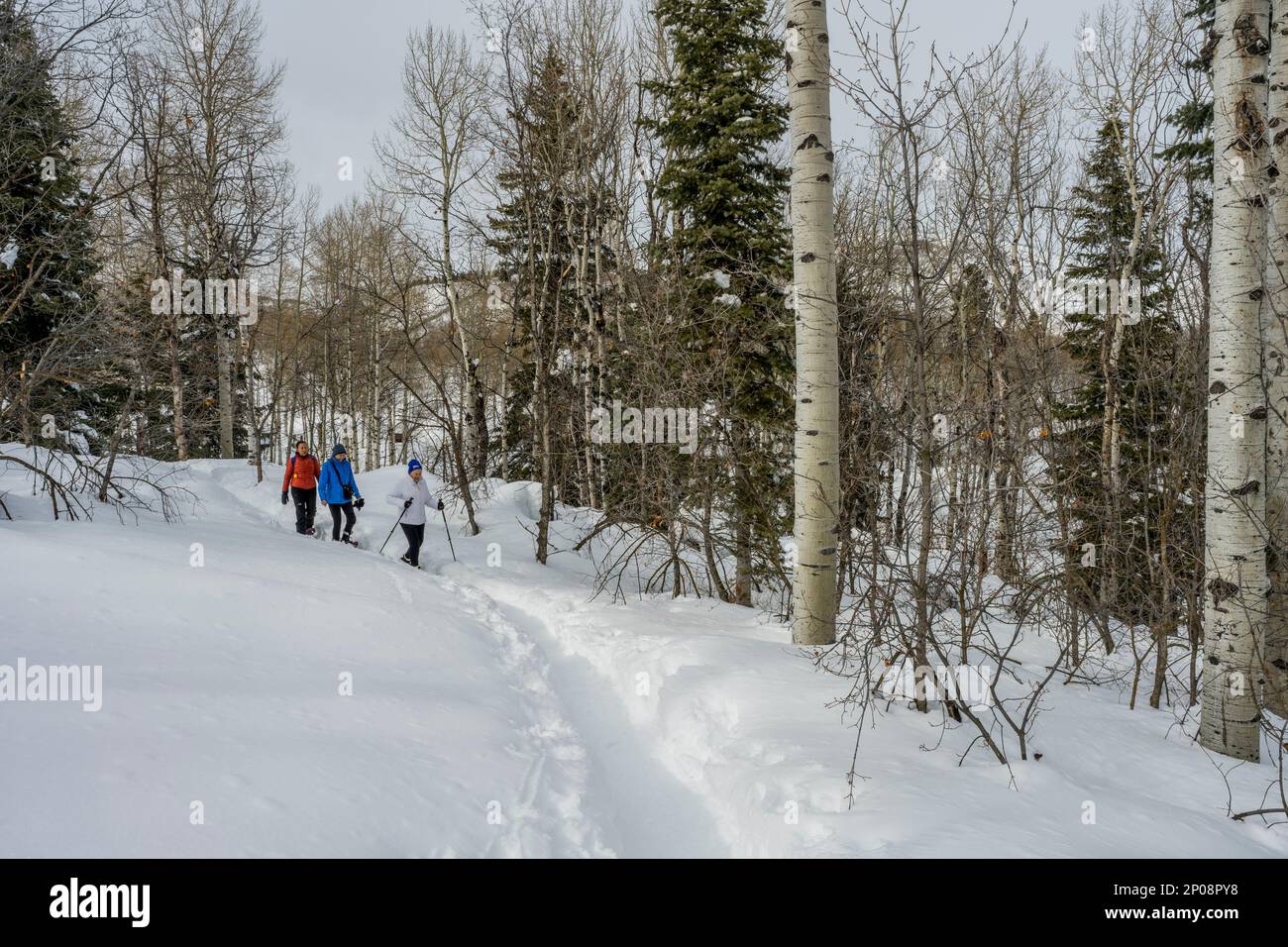 Three women (released), including a 90 year ols senior, snowshoeing at the Nordic Center of the Sundance Resort, also known as Sundance Mountain Resor Stock Photo