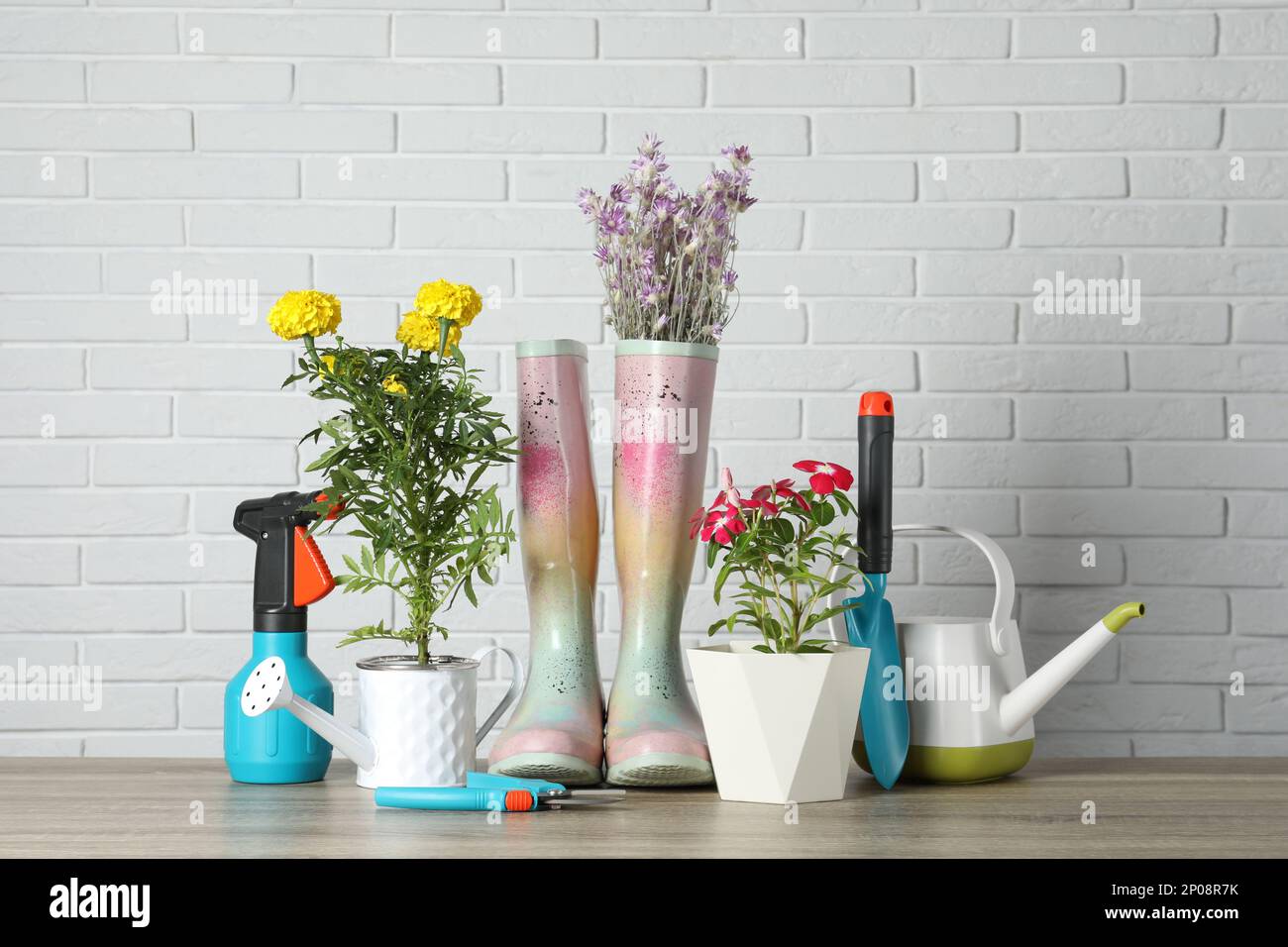 Beautiful flowers and gardening tools on wooden table near white brick wall Stock Photo