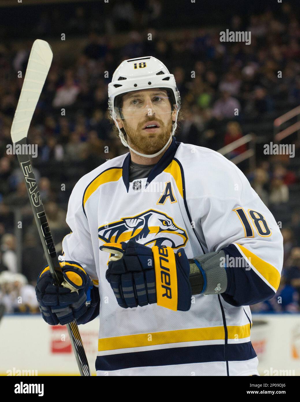 February 09, 2017: Nashville Predators right wing James Neal (18) looks on  during the game between The New York Rangers and The Nashville Predators at  Madison Square Garden in Manhattan, New York., image size:1039x1390