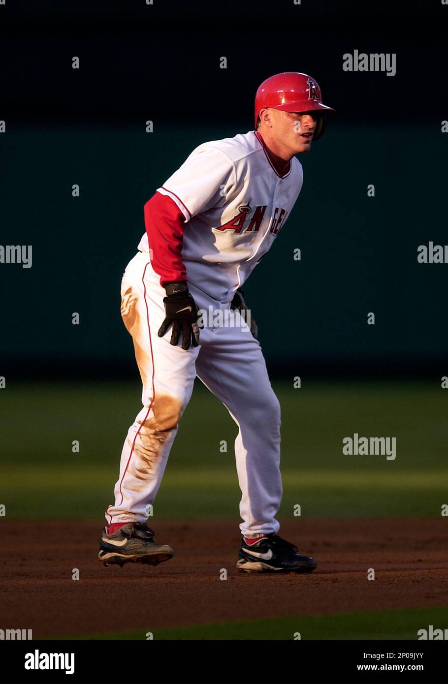 david eckstein angels jersey