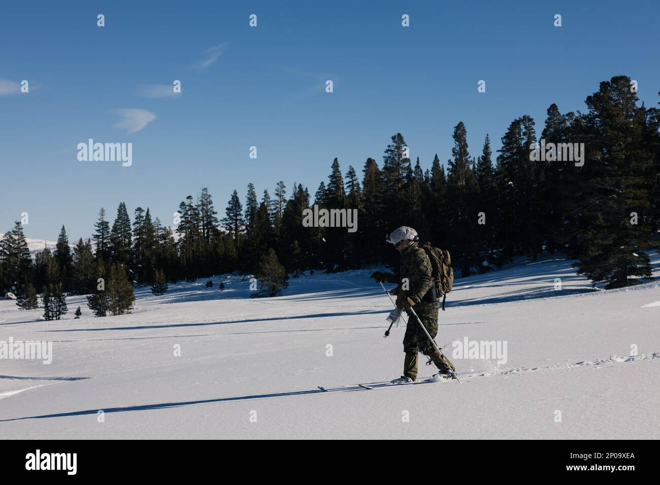 A U.S. Marine with 2nd Battalion, 8th Marine Regiment, 2nd Marine Division, practices skiing techniques during Mountain Warfare Training Exercise (MTX) 2-23 at Marine Corps Mountain Warfare Training Center, Bridgeport, California, Jan. 28, 2023. MTX, the first training evolution of Service Level Training Exercise 2-23, teaches Marines how to survive and operate in mountainous environments. (U.S. Marine Corps photo by Cpl. Andrew Bray) Stock Photo