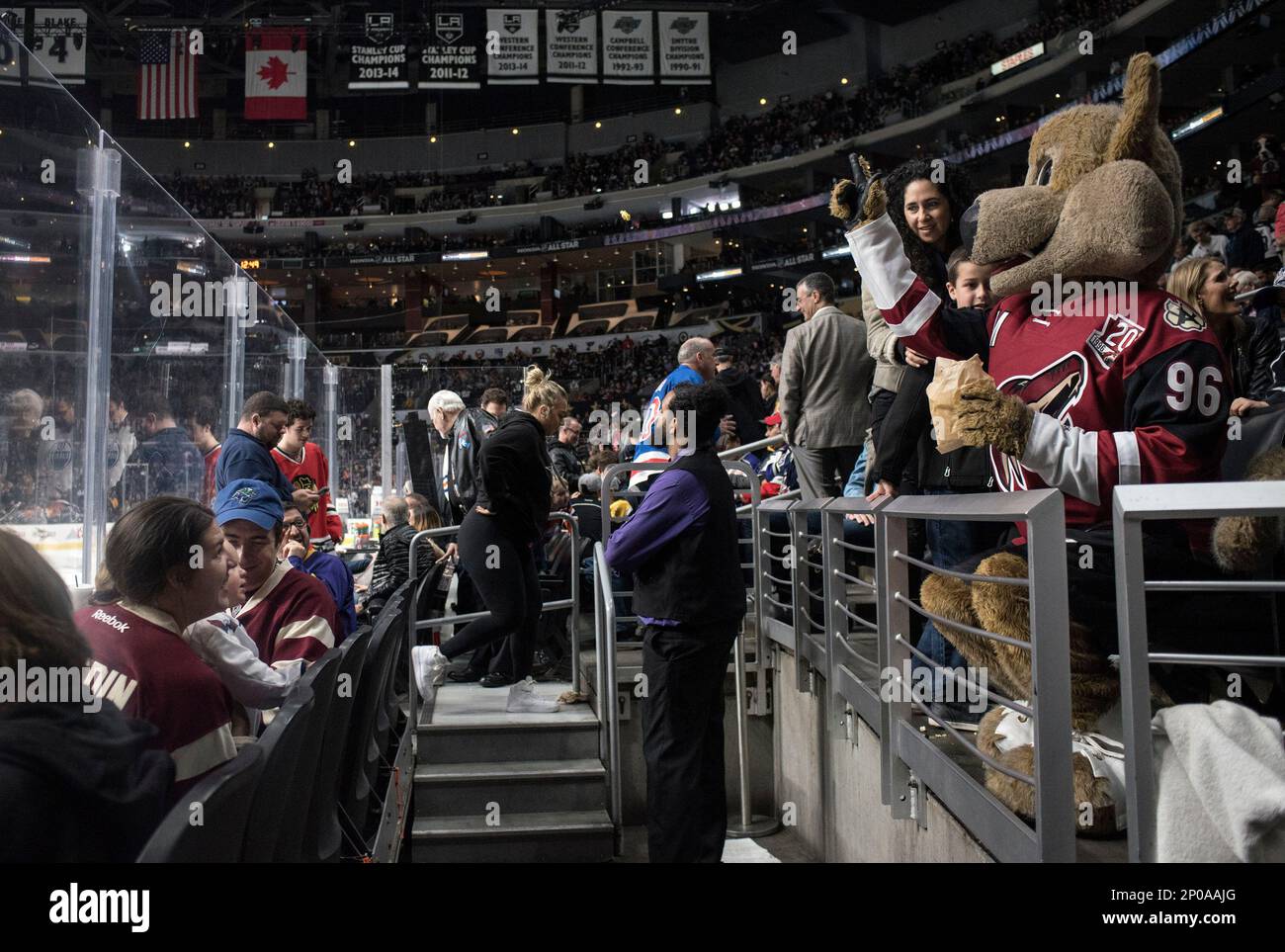 Arizona Coyotes mascot Howler in the first period during an NHL hockey  game against the St. Louis Blues, Monday, Oct. 18, 2021, in Glendale, Ariz.  (AP Photo/Rick Scuteri Stock Photo - Alamy