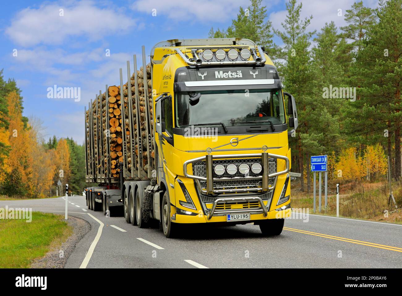 New yellow Volvo FH logging truck transports log load along highway on a beautiful day of autumn. Salo, Finland. October 13, 2022. Stock Photo