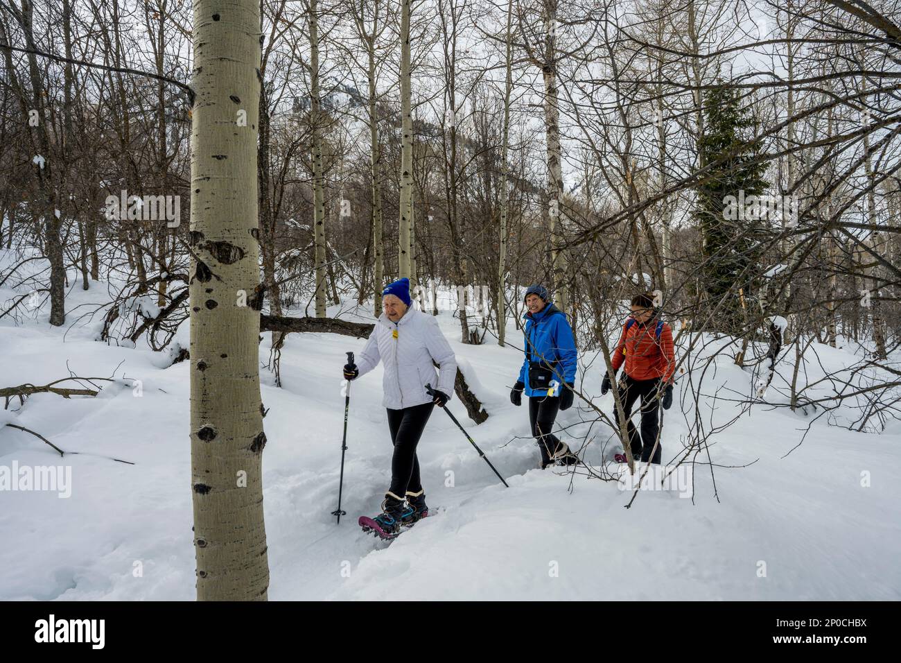 Three women (released), including a 90 year ols senior, snowshoeing at the Nordic Center of the Sundance Resort, also known as Sundance Mountain Resor Stock Photo