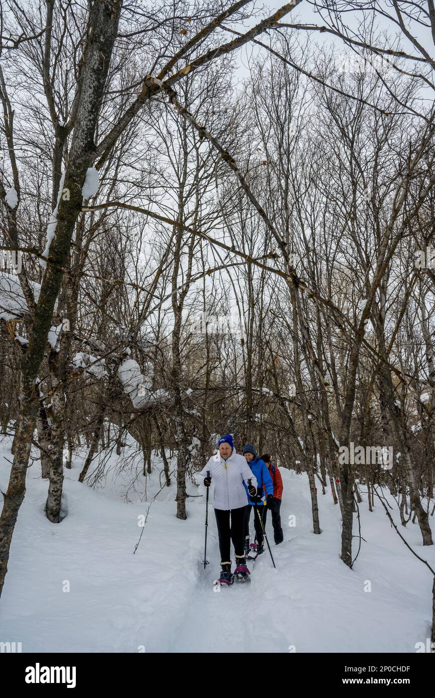 Three women (released), including a 90 year ols senior, snowshoeing at the Nordic Center of the Sundance Resort, also known as Sundance Mountain Resor Stock Photo