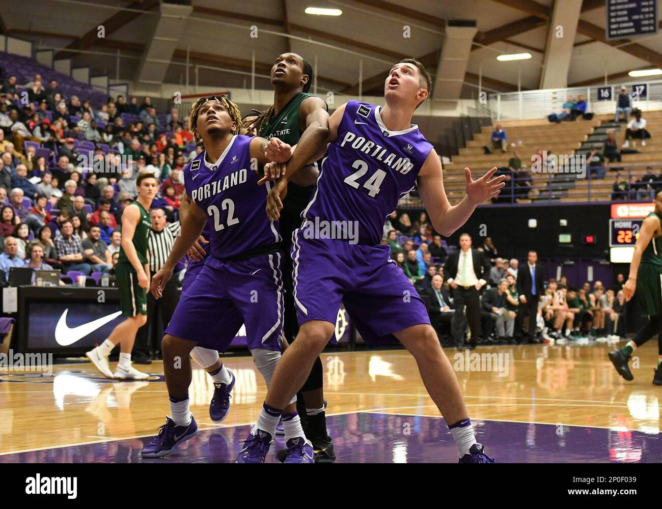 University of portland basketball top