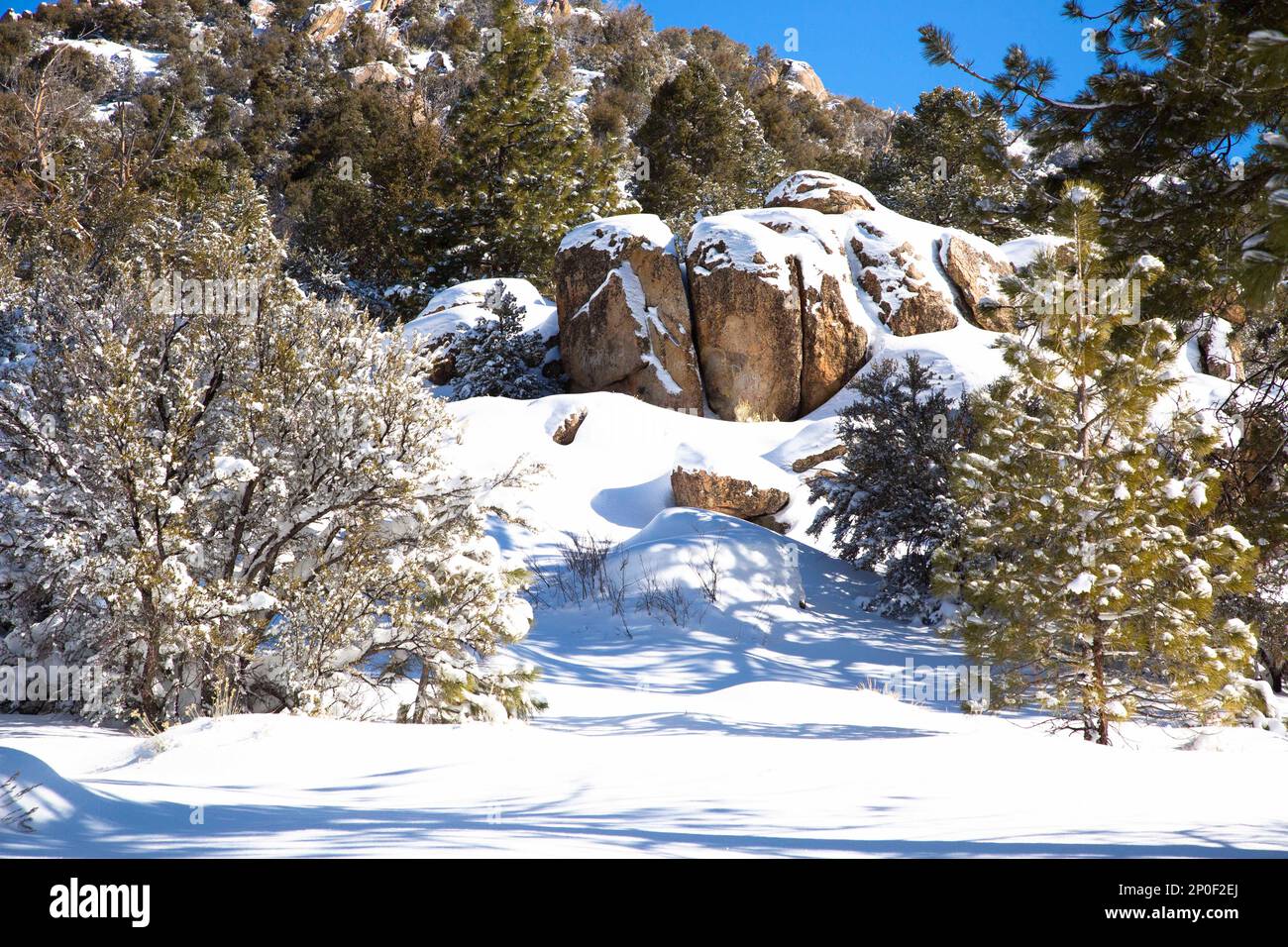 Big Bear City, California, USA. 2nd Mar, 2023. After the biggest snow