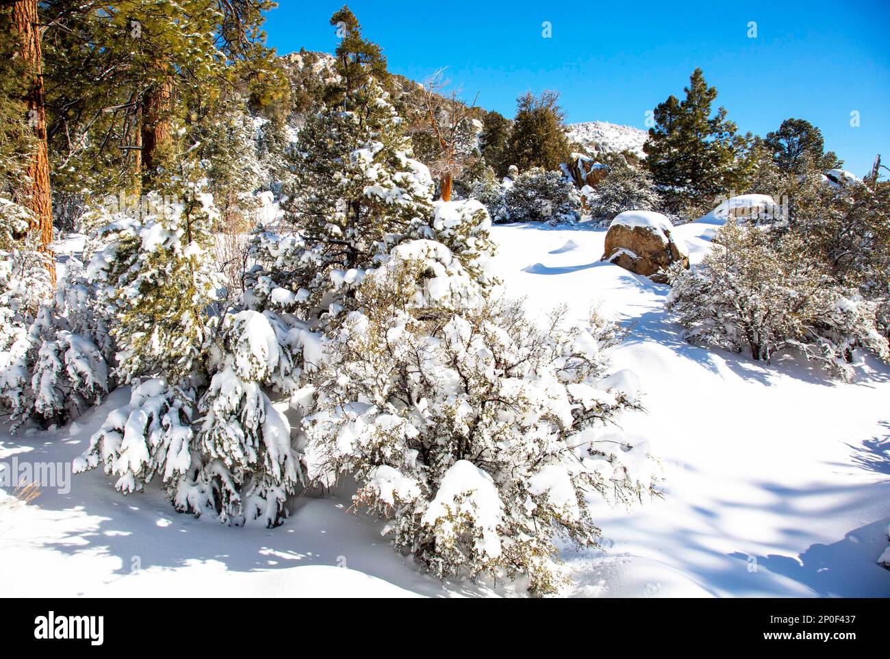 Big Bear City, California, USA. 2nd Mar, 2023. After the biggest snow storm in the history of