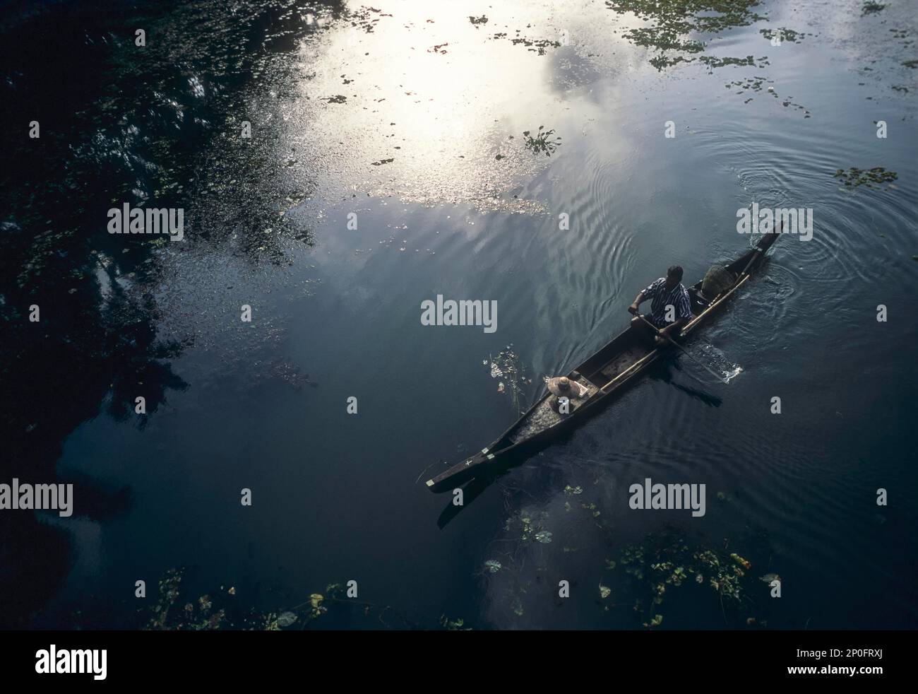 Fisherman in a small wooden boat, Backwaters of Kuttanad, Alappuzha, Alleppey, Kerala, India Stock Photo