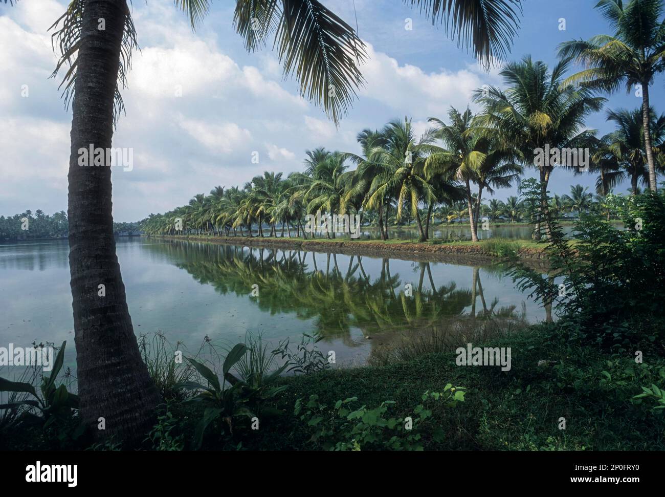 Backwaters of Kodungallur, Kerala, India Stock Photo