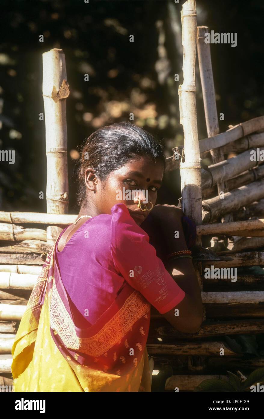 A tribal girl wearing so many nose rings at Sunkarametta in Araku Valley near Visakhapatnam, Vizag, Andhra Pradesh, India Stock Photo