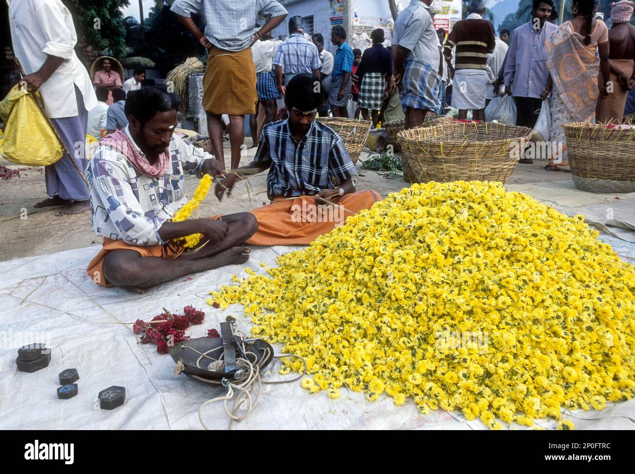 Flower market at Thovalai is one of the largest flower markets of South India near Nagercoil