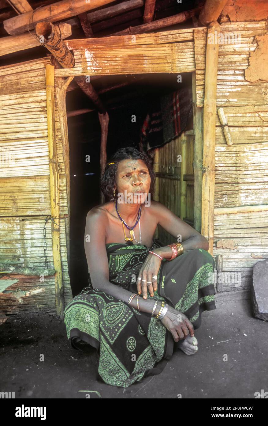 Village hut india hi-res stock photography and images - Alamy