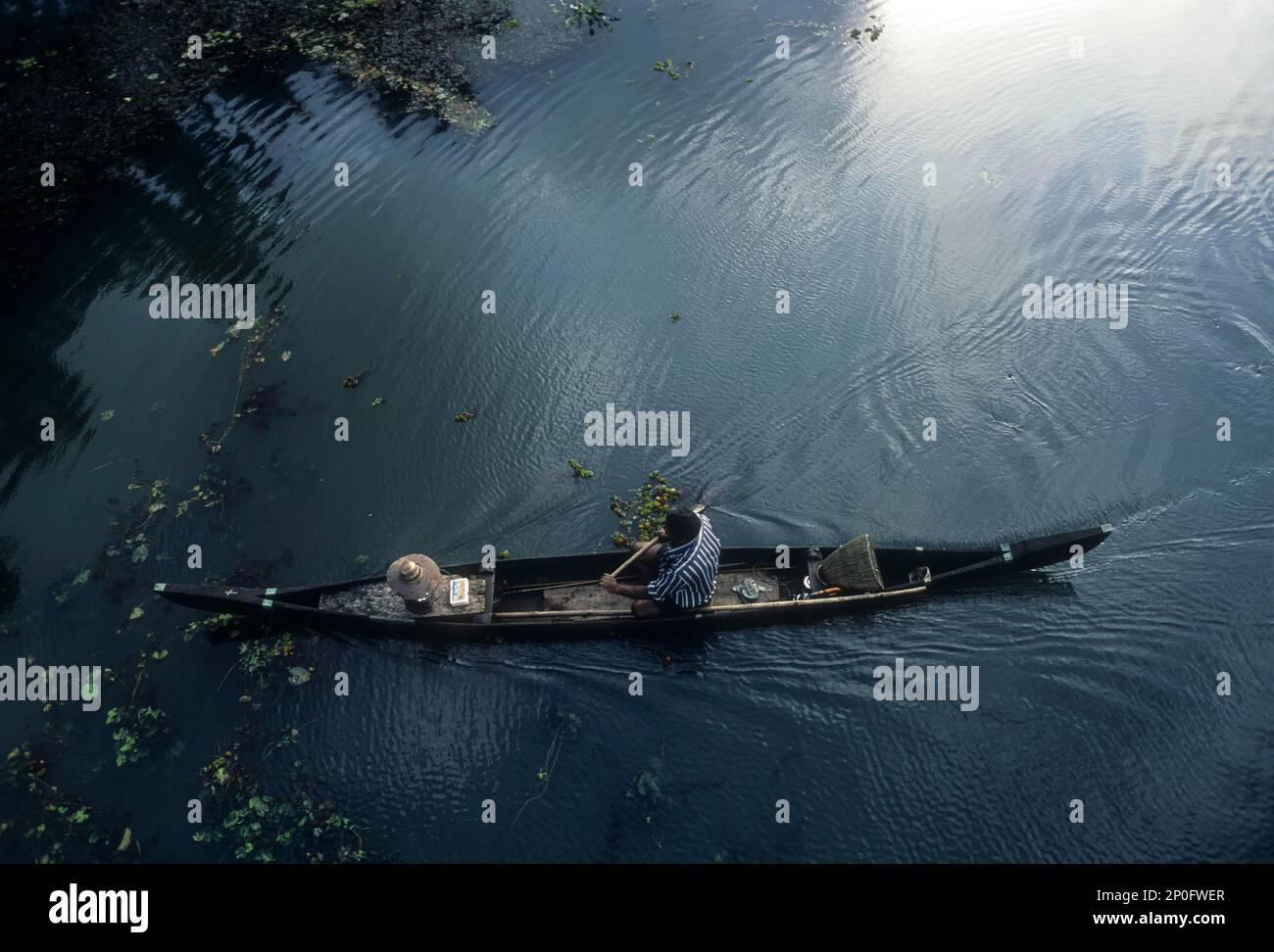 Fisherman at work, backwaters of kuttanad, kerala, India, India Stock Photo