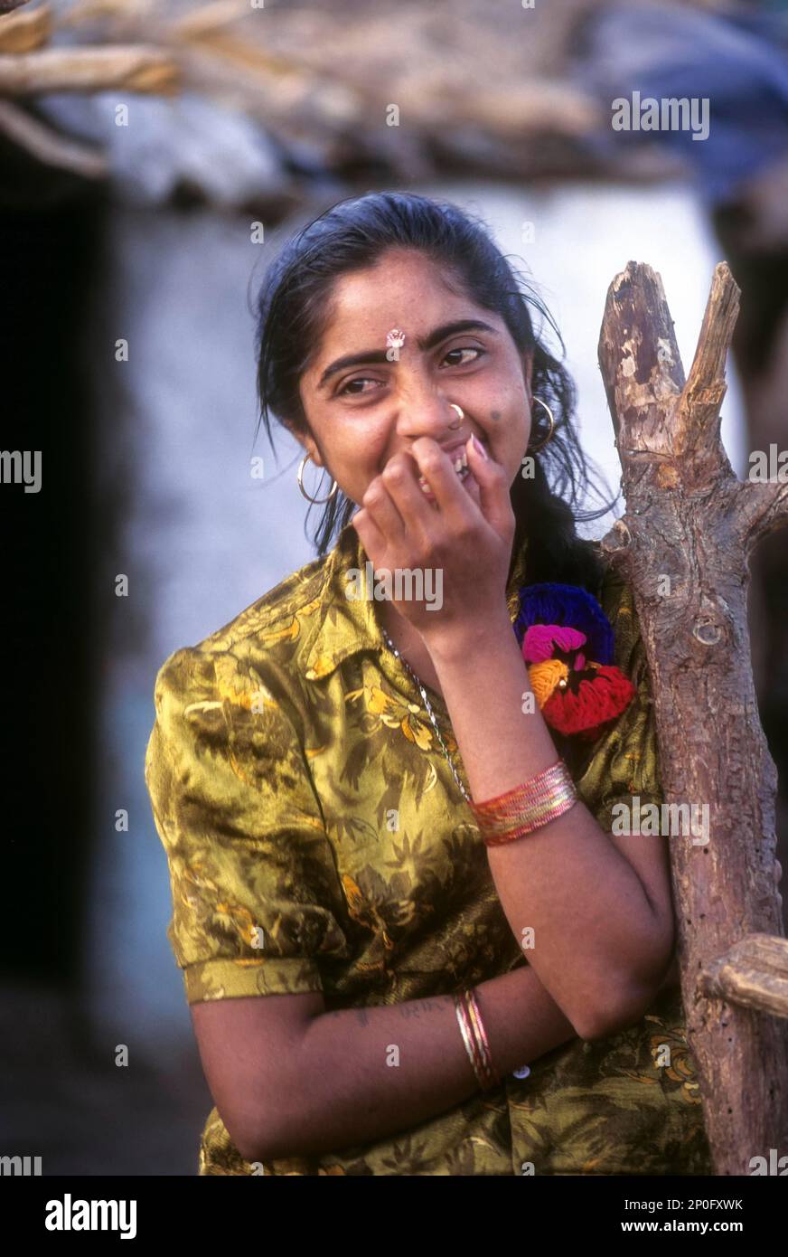 Maldari belle at Sasan Gir, Gujarat, India Stock Photo - Alamy