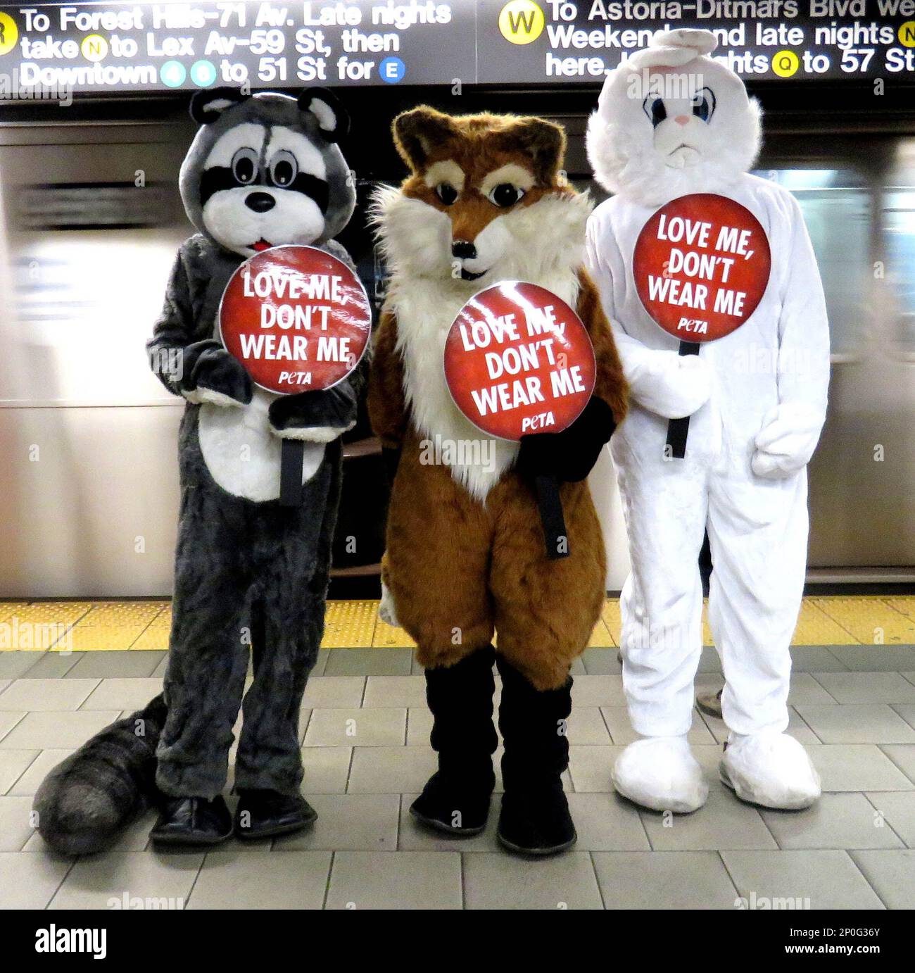 Peta Sign Only Rabbit Photo by: PETA/STAR MAX/IPx12/15/16It's Christmastime in the city—and a ...