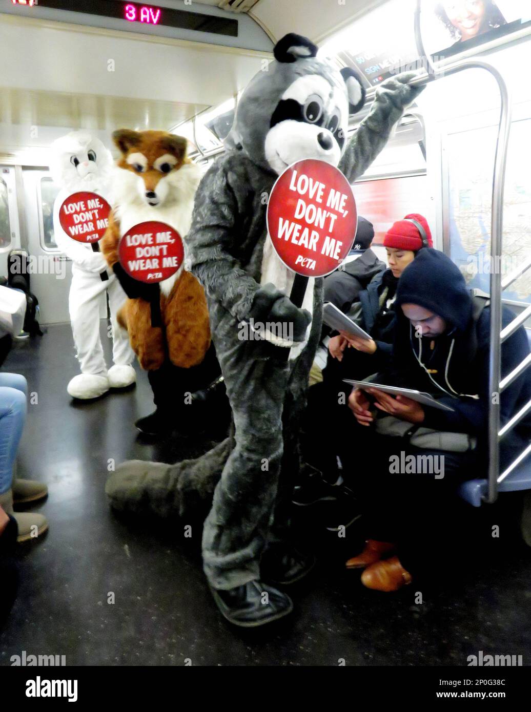 Peta Sign Only Rabbit Photo by: PETA/STAR MAX/IPx12/15/16It's Christmastime in the city—and a ...
