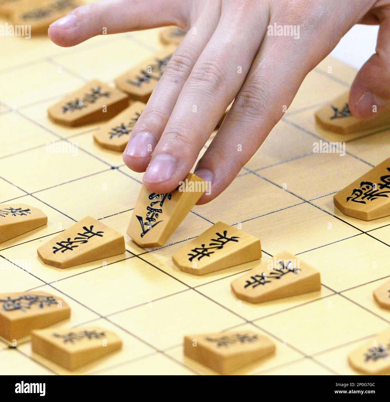 Shogi - Japanese Chess