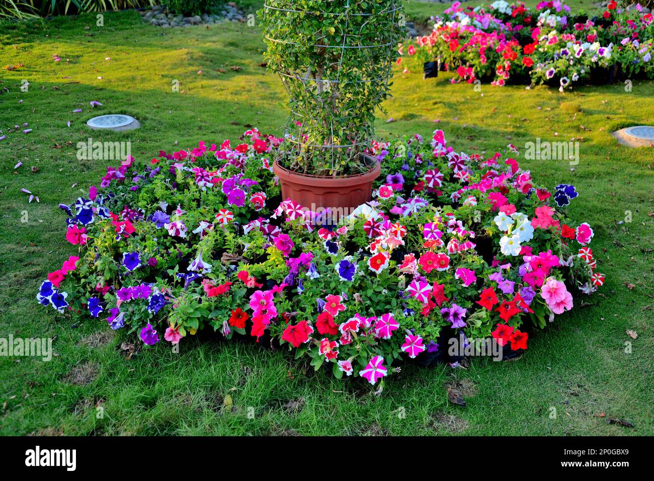 Valley Of Flowers, Statue Of Unity complex, tallest statue in the world, located in the Kevadia