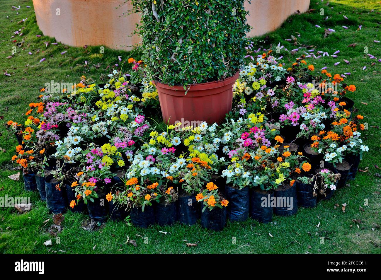 Valley Of Flowers, Statue Of Unity complex, tallest statue in the world, located in the Kevadia