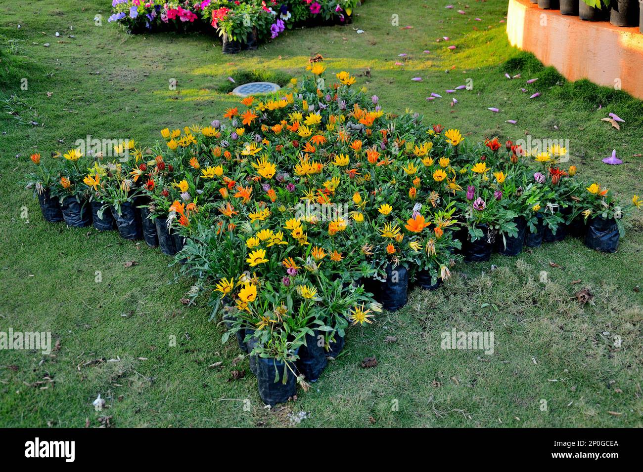 Valley Of Flowers, Statue Of Unity complex, tallest statue in the world, located in the Kevadia