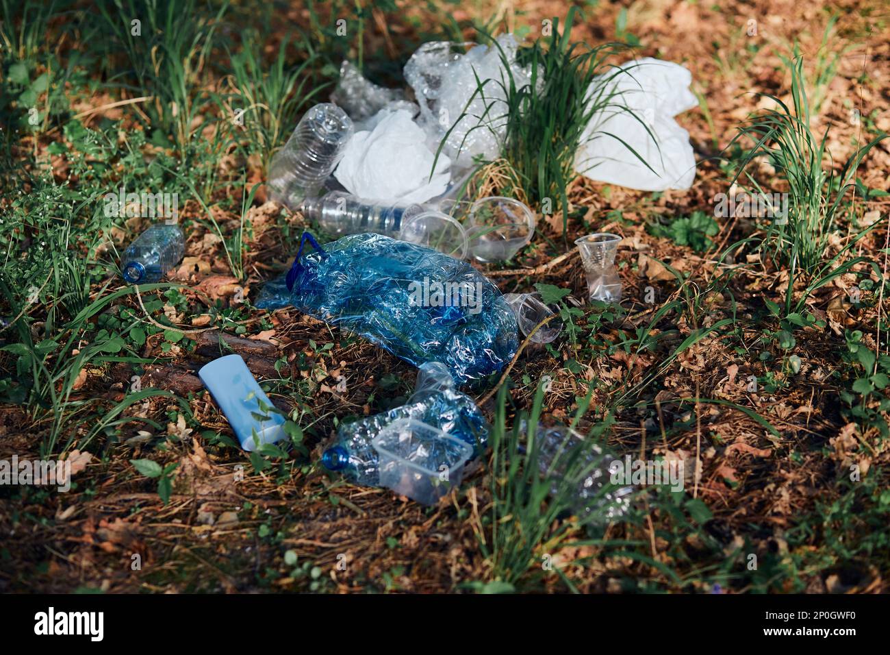 Plastic waste left in forest. Concept of plastic pollution and ...