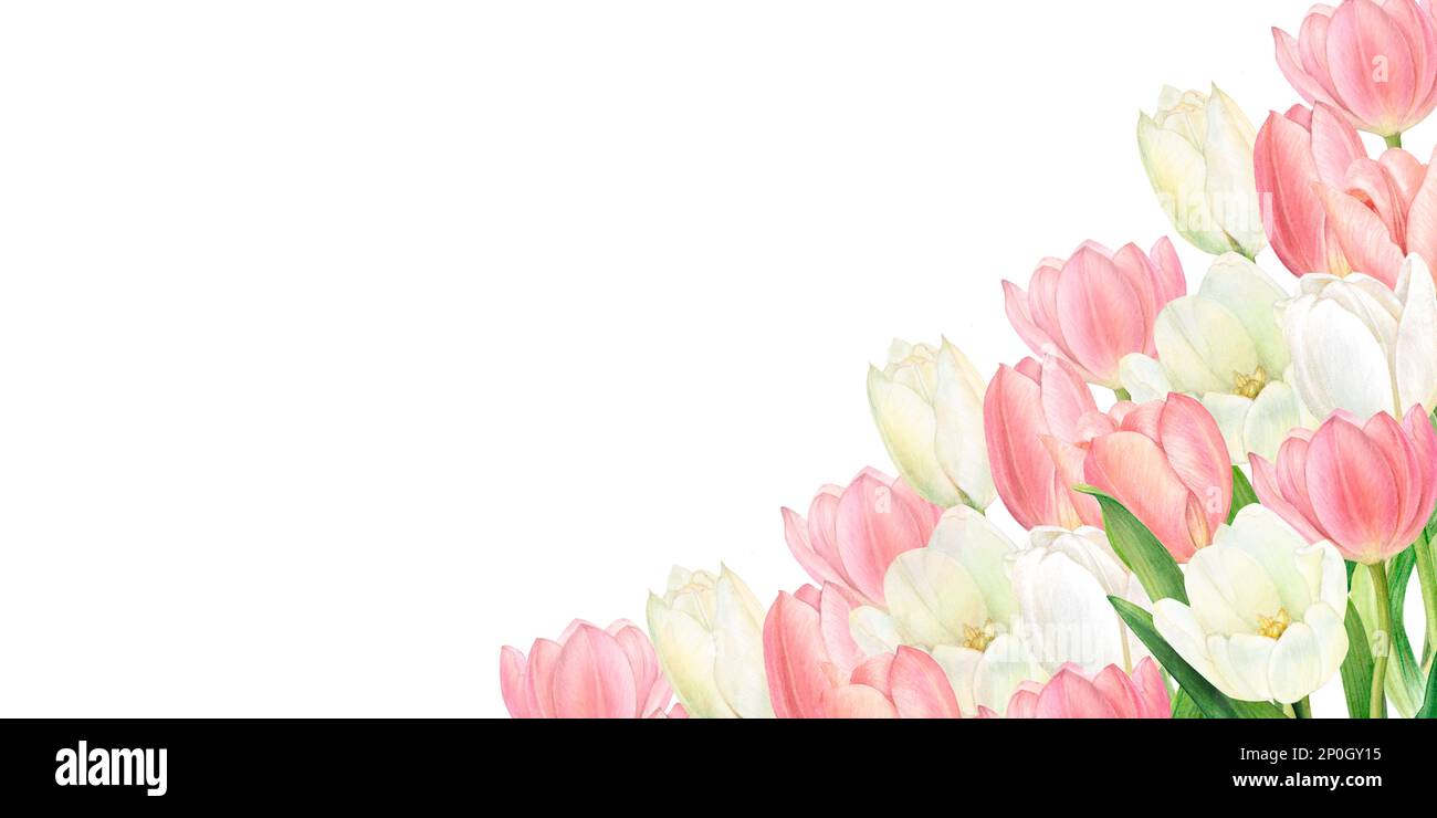 Watercolour illustration of a beautiful bouquet of pink and white ...