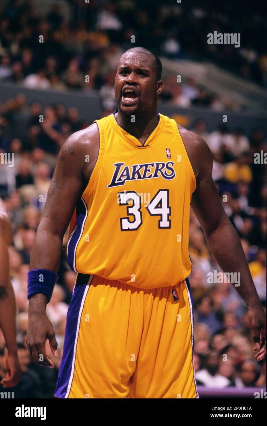 Shaquille Oneal Lakers