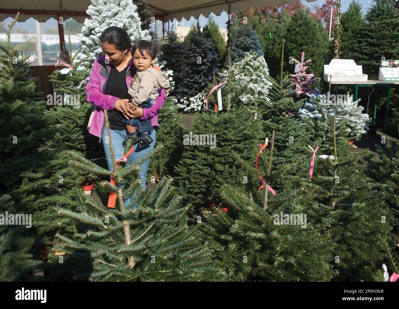 Best artificial shop trees 2016