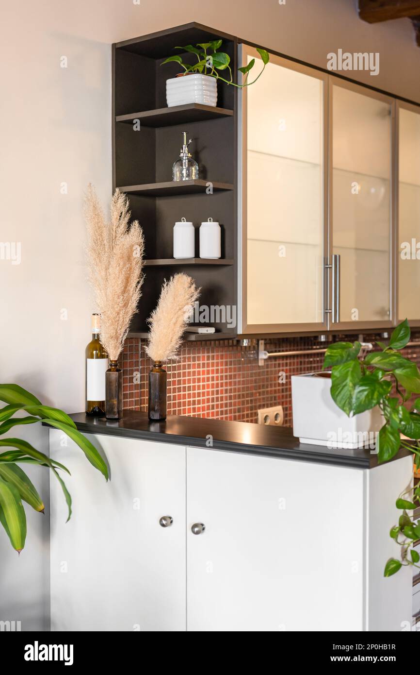 View of the mini bar with a built-in cabinet made of white painted wood in  a small but cozy kitchen with plants and decor elements. Modern design in  Stock Photo - Alamy