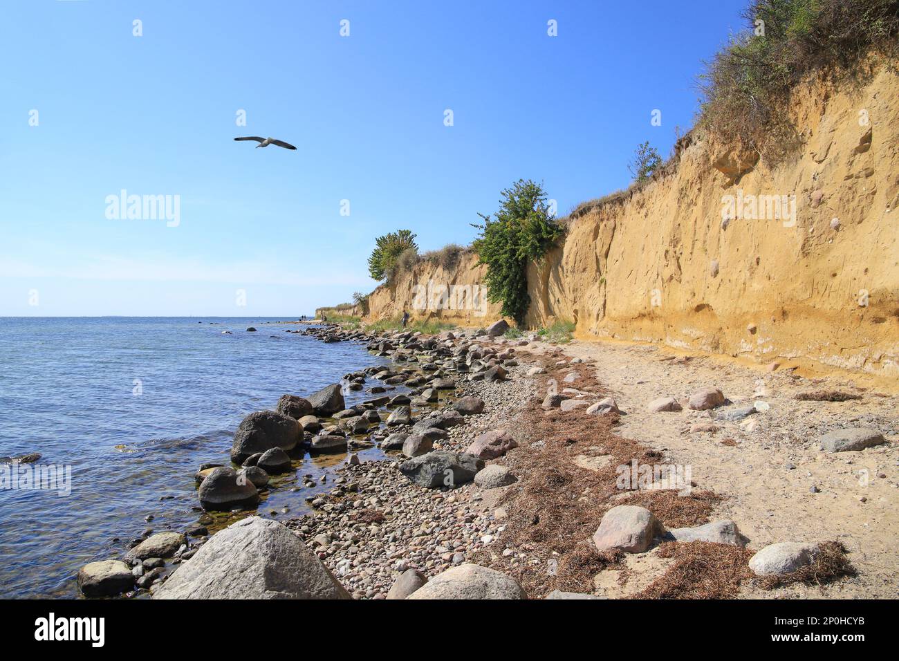 The shore along the steep coast of the holiday destination Klein Zicker at the island Rügen, Baltic Sea - Germany Stock Photo