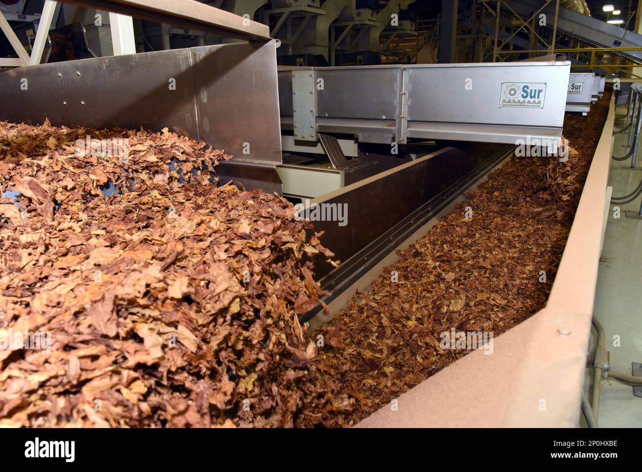 Processed tobacco heads down the line at JTI Leaf Services in Danville, Va.,  Thursday, Dec. 1, 2016. On Thursday, the tobacco company announced the  opening of their new 110,000 square foot tobacco