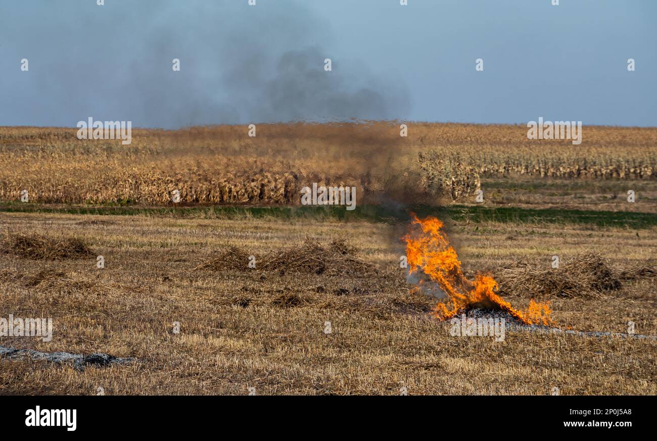 incineration of agricultural waste smog and pollution. Harmful