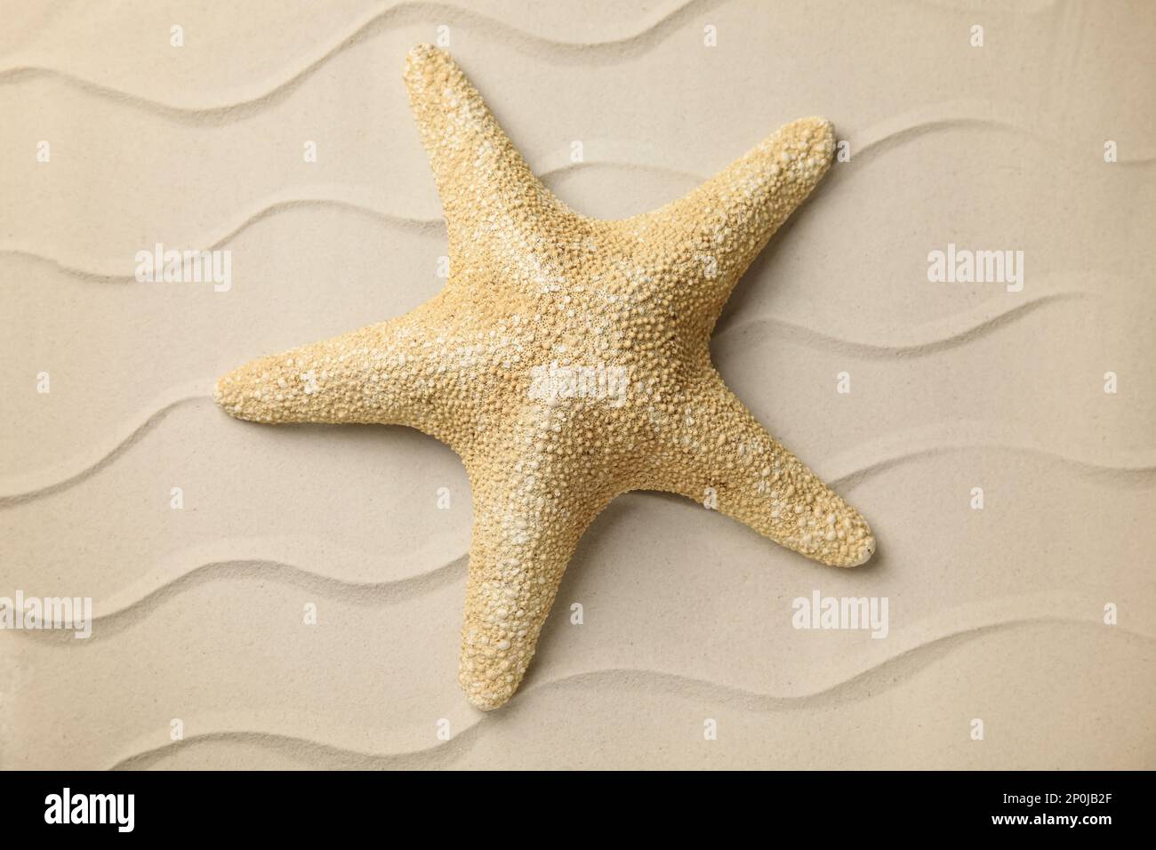 Beautiful sea star on sand, top view Stock Photo - Alamy