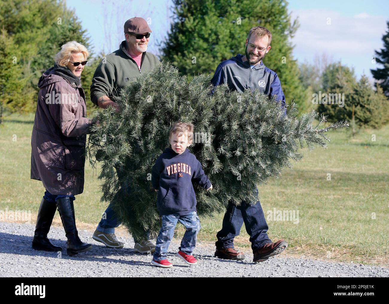 Liam Shafer, 3, gets some help carrying a freshly cut Christmas tree