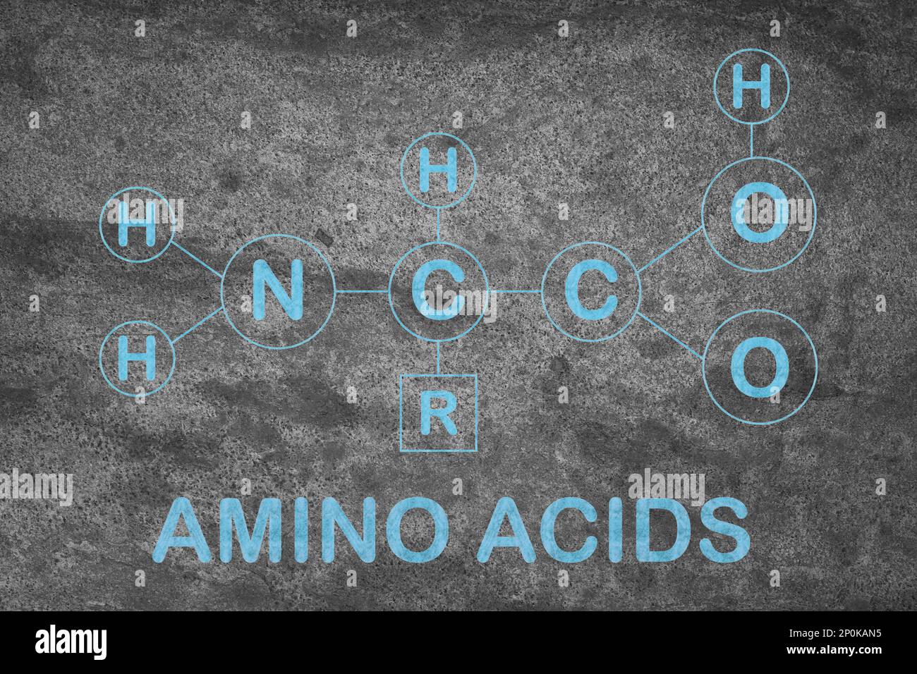 Text Amino Acids and chemical formula on grey stone surface Stock Photo