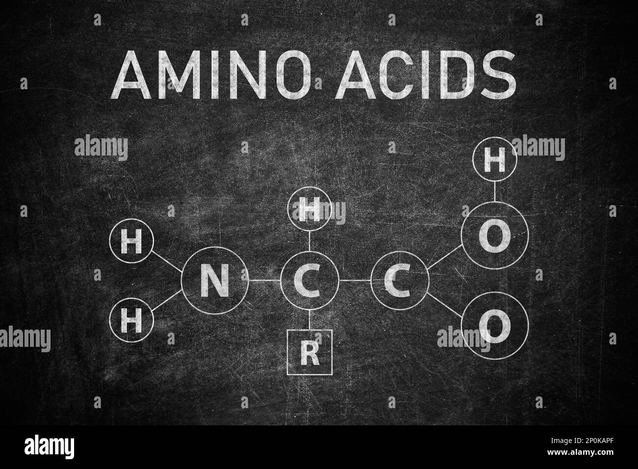 Text AMINO ACIDS and chemical formula written on blackboard Stock Photo