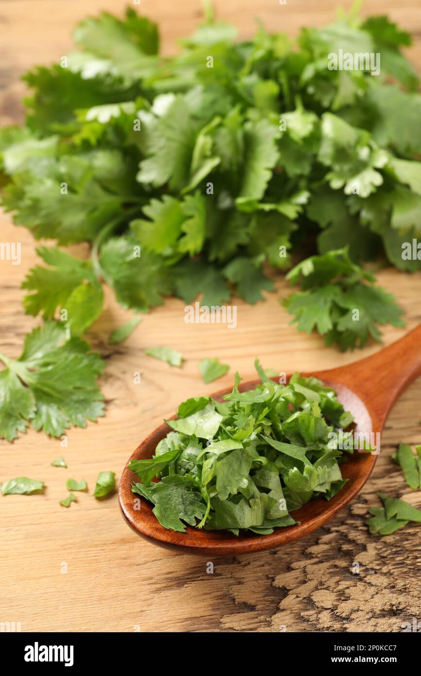 Fresh green cilantro and spoon on wooden table Stock Photo