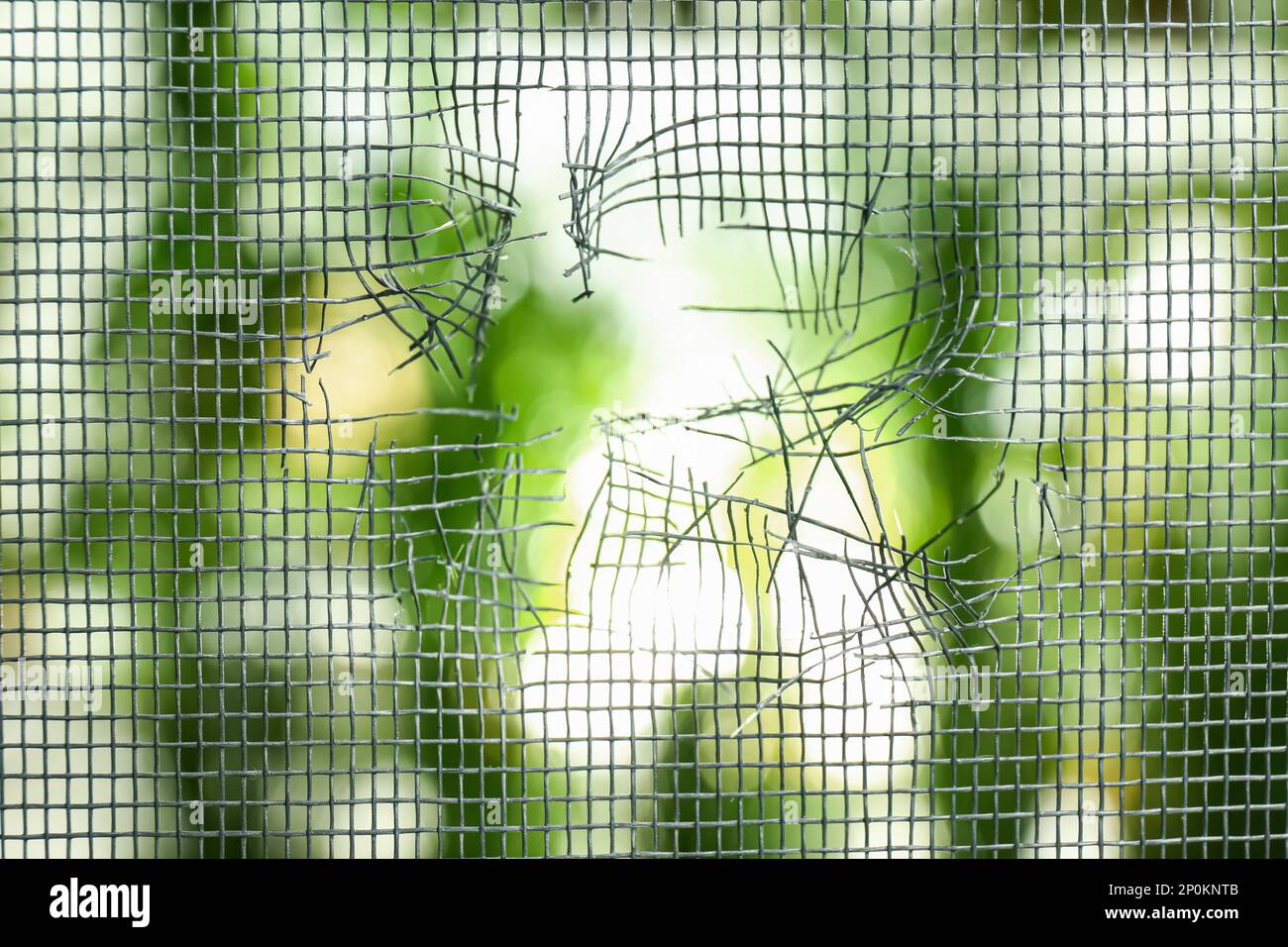 Torn window screen against blurred background, closeup Stock Photo