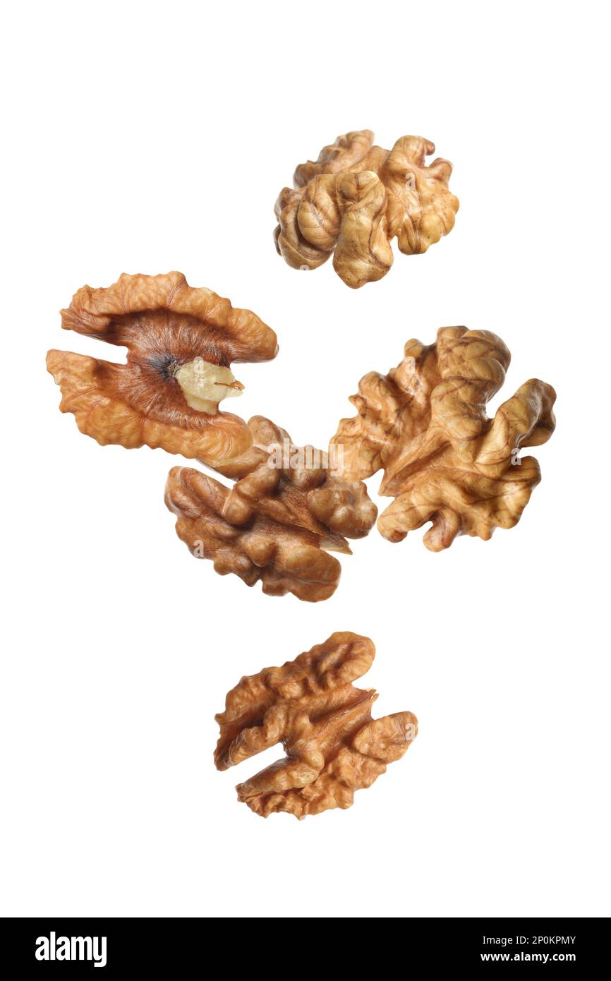 Halves of walnuts falling on white background Stock Photo Alamy