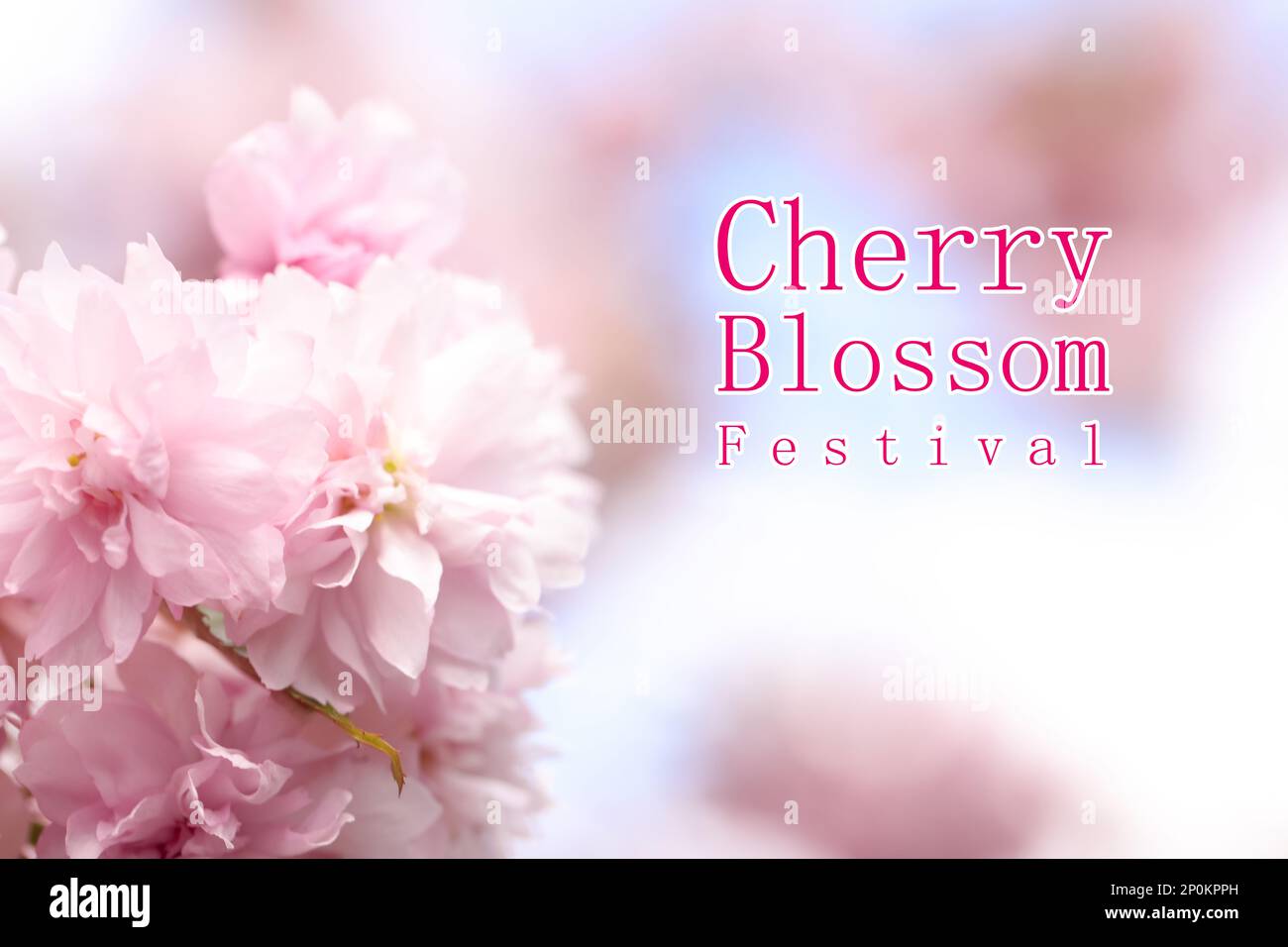 Cherry blossom festival beautiful hi-res stock photography and images ...