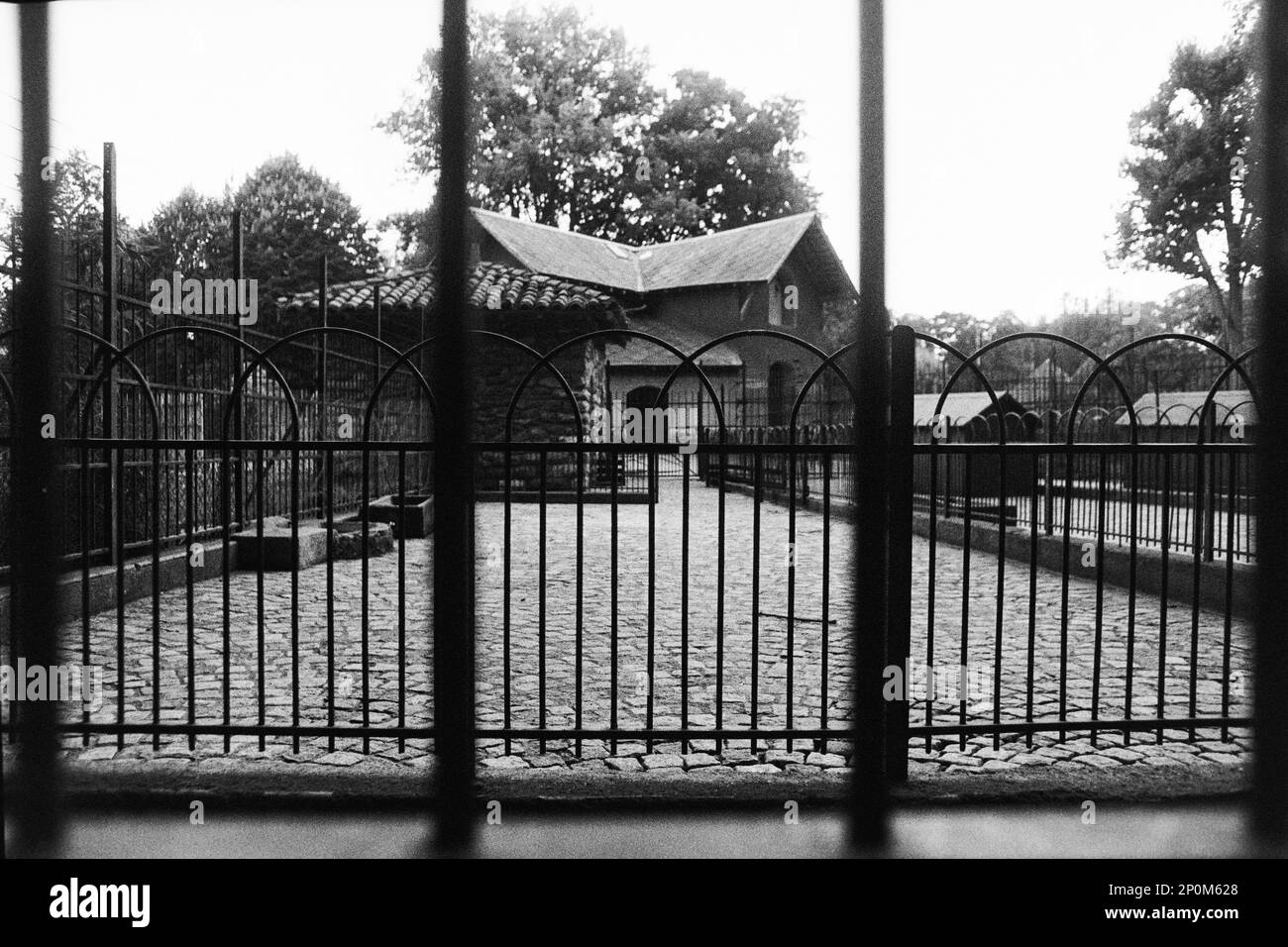 Archives 80ies: Animals in captivity, at Tete d'Or Park zoo, Lyon