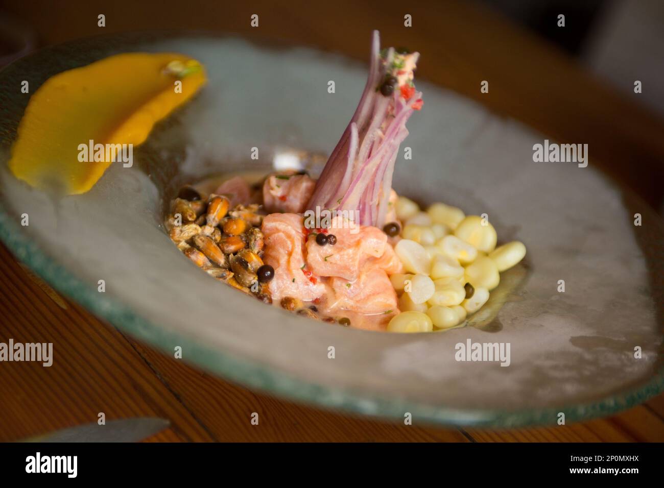 Peruvian fish ceviche on a frozen bowl Stock Photo Alamy